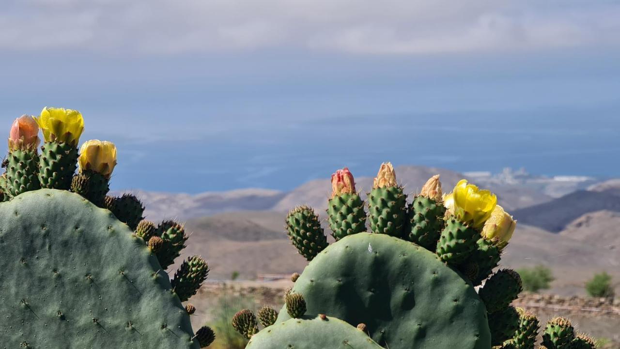 Puerto Rico Top Teide And Amadores View Bagian luar foto