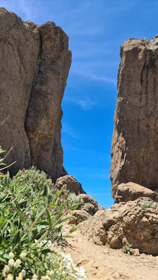 Puerto Rico Top Teide And Amadores View Bagian luar foto