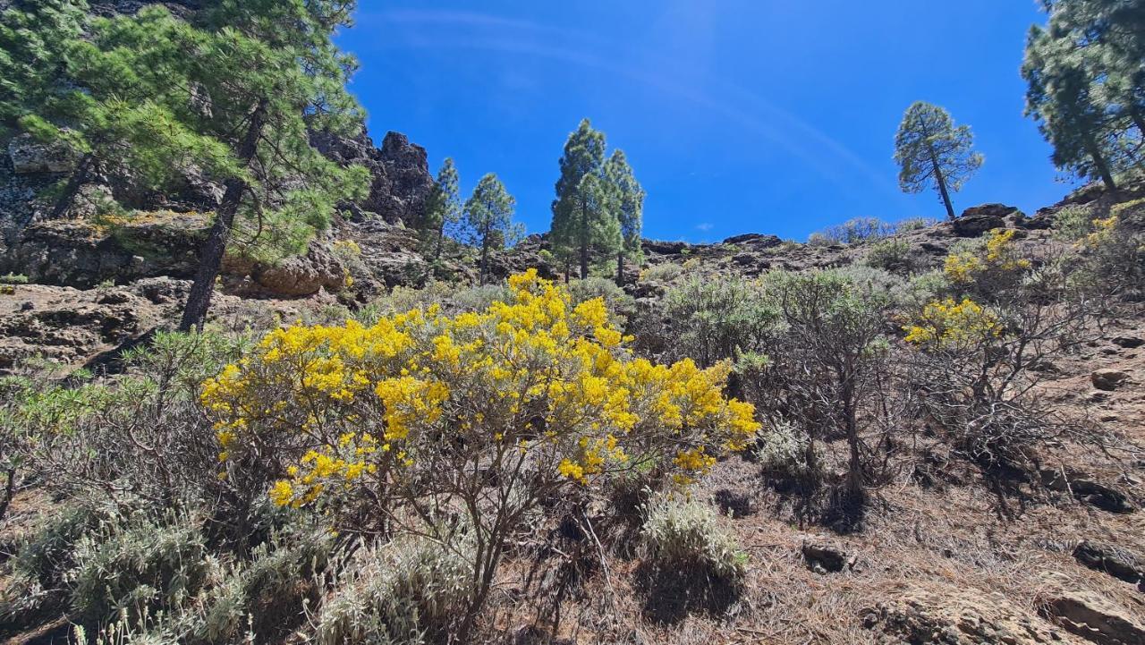 Puerto Rico Top Teide And Amadores View Bagian luar foto