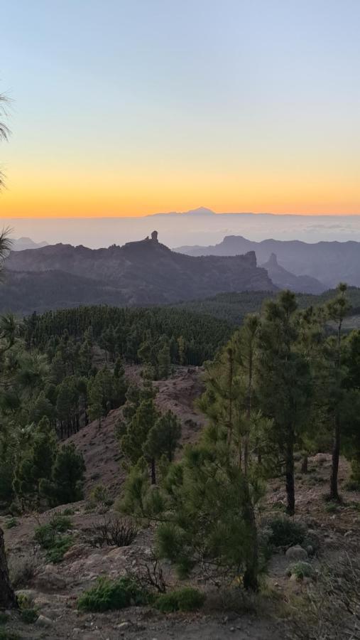 Puerto Rico Top Teide And Amadores View Bagian luar foto
