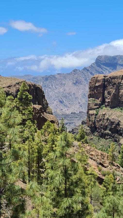 Puerto Rico Top Teide And Amadores View Bagian luar foto